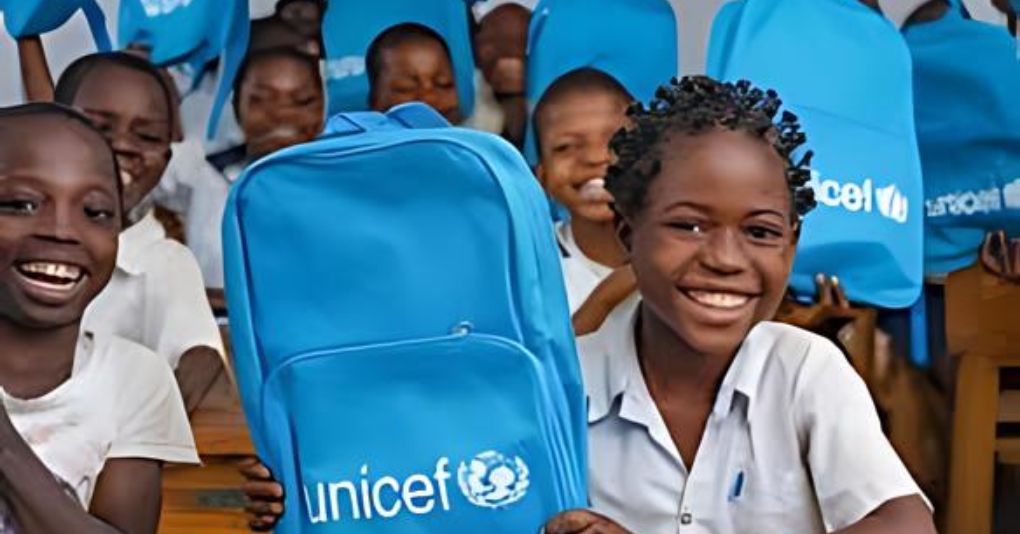 UNICEF Declares E-birth Registration Vital In Education Planning