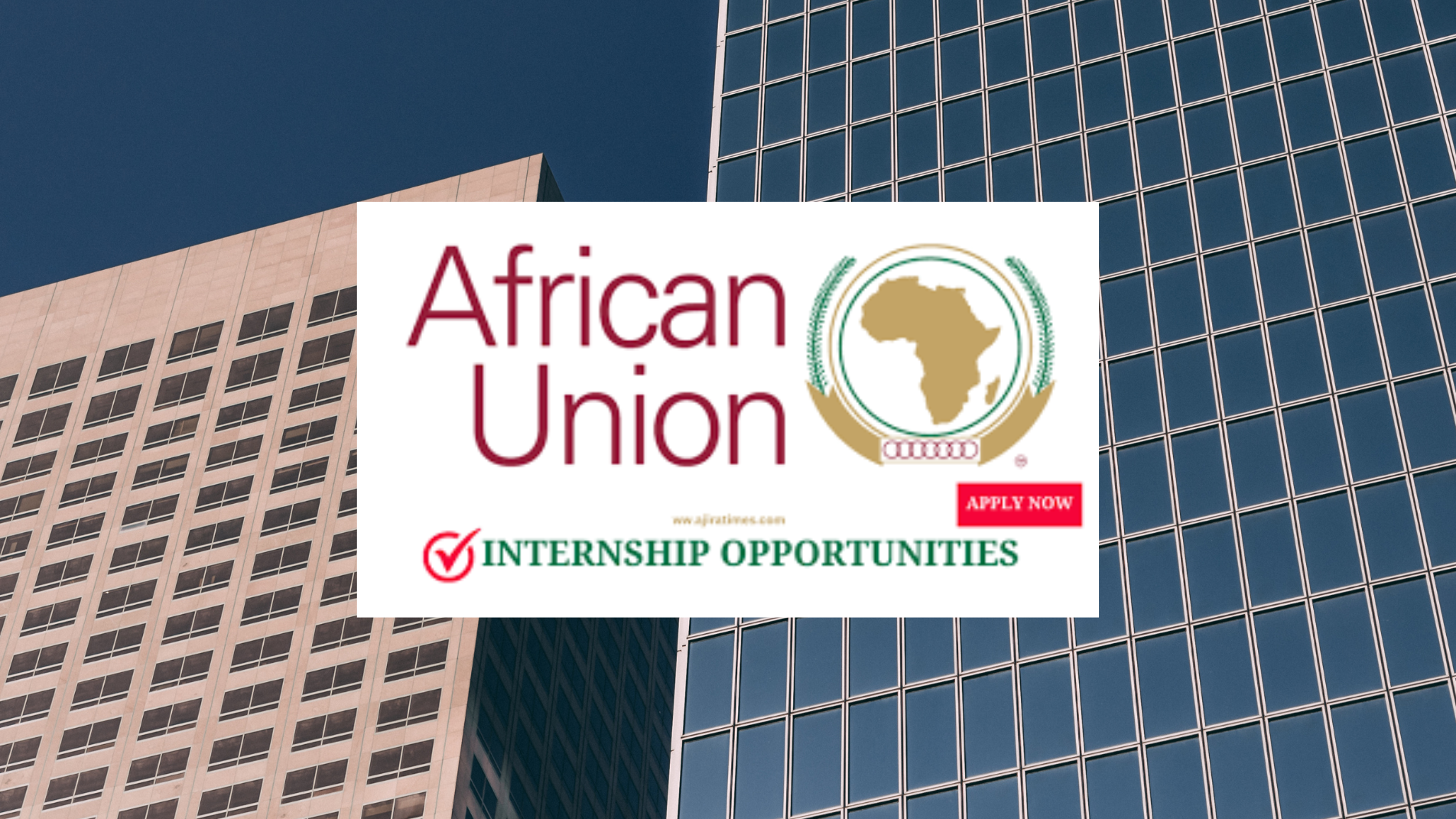 African Union 2024 Young African Public Health Scholars Program