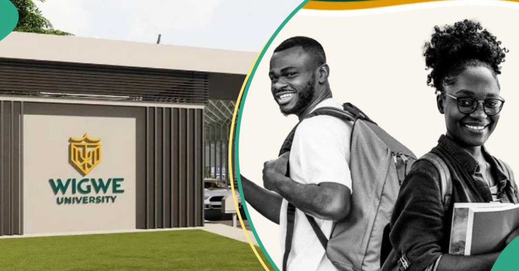 Wigwe University Merit Scholarship For Nigerian Students