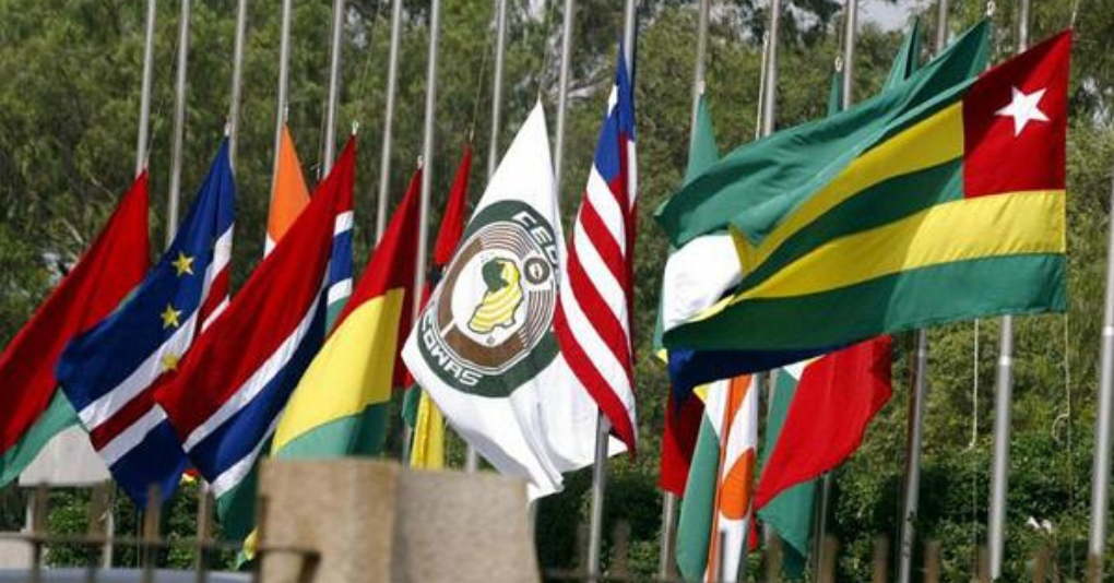 ECOWAS 2025 Immersion Internship Program for African Graduates