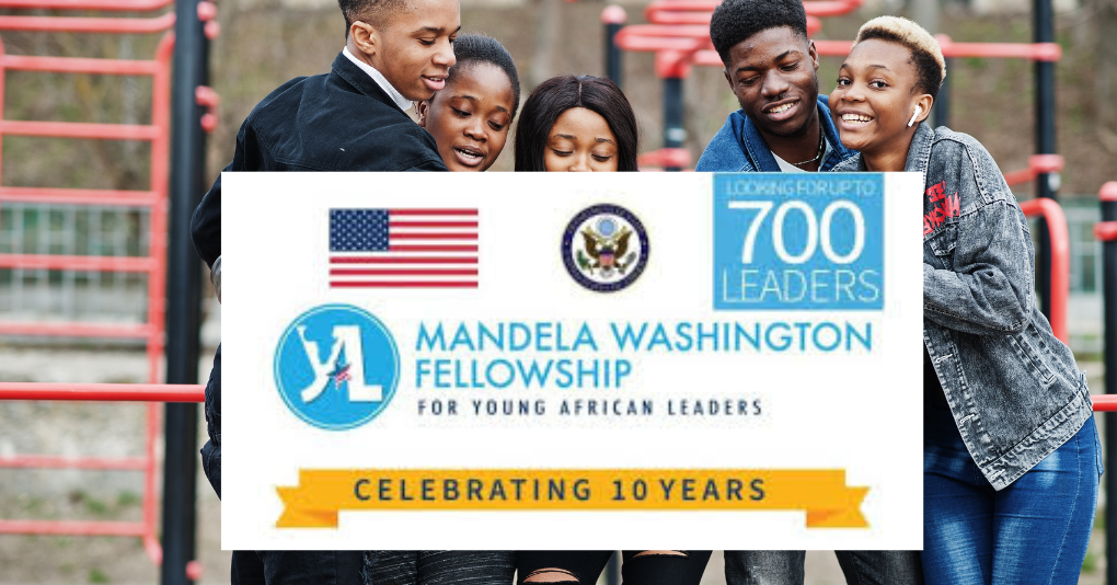 Mandella Washington Fellowship for Young Africans 2025