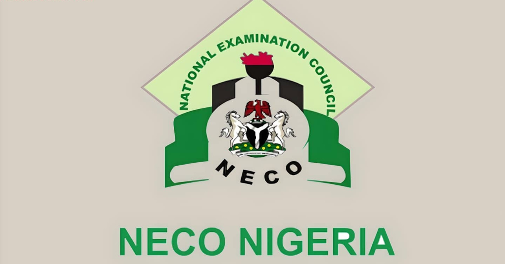 NECO: NANS kicks against N50,000 certificate fee