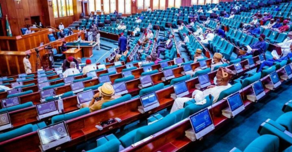 Reps Advocate Introduction of Local Languages for Teaching in Schools