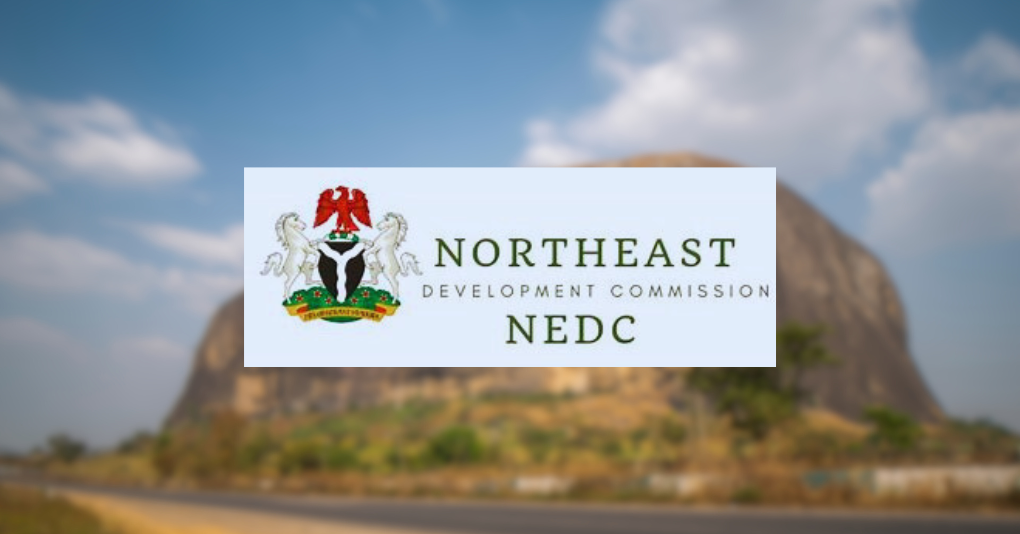 NEDC to Train 100, 000 Secondary School Teachers, School Administrators in Northeast