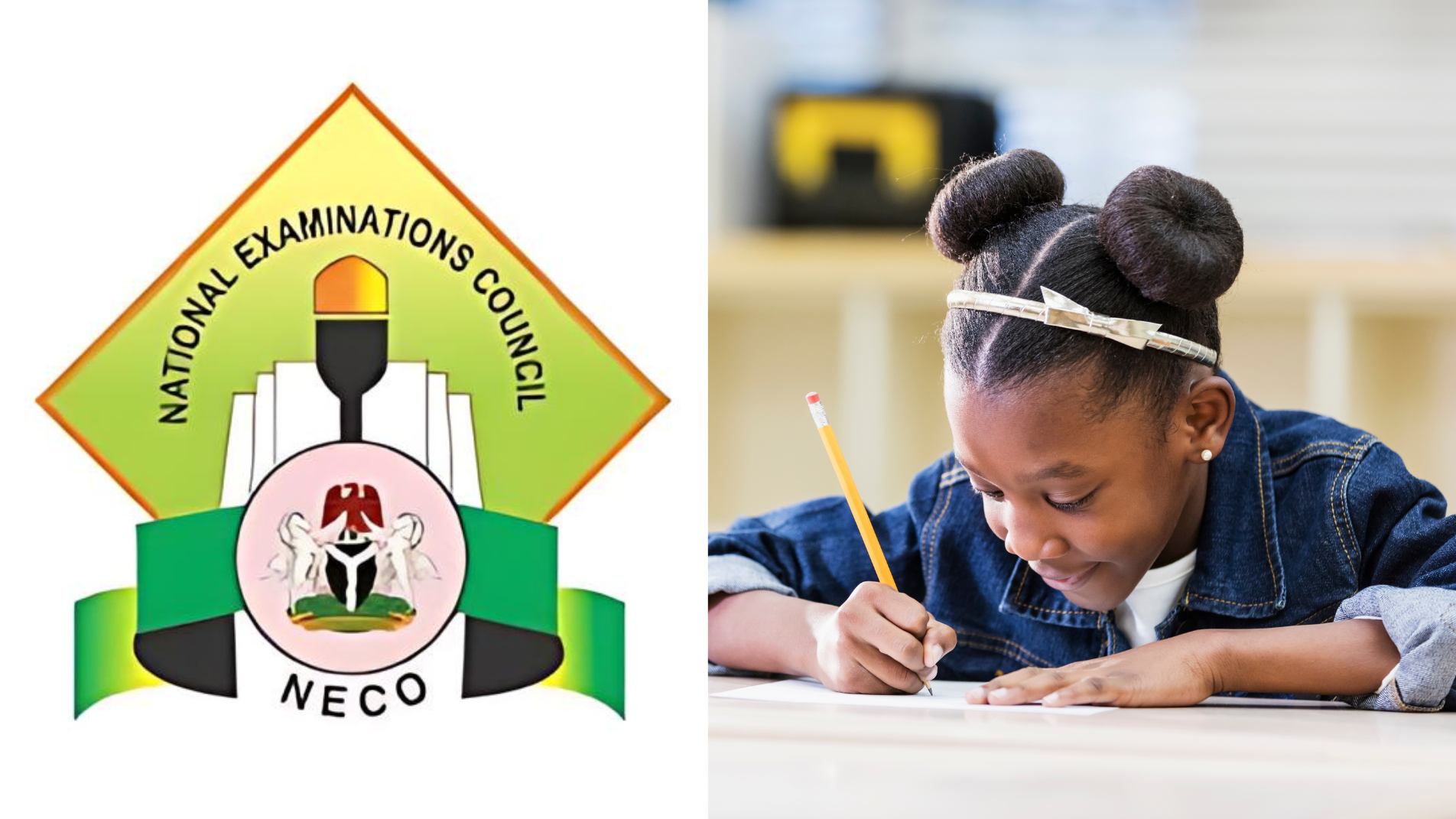 NECO Releases Results of Unity Colleges, FGA
